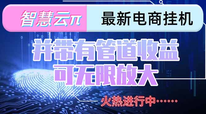 智慧云π电脑挂机单机每天收益300—500+ 并带有团队管道收益 可无限放大-财富区