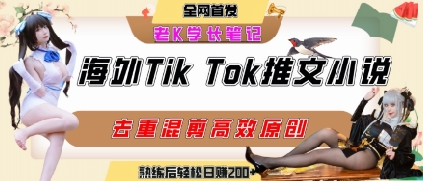 海外tiktok小说推文暴力项目，高停留率，高转化率，上手后一天搞顿饭钱不是问题-财富区
