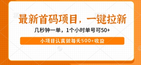 最新首码项目，操作最简单，收益高，一键拉新，1个小时单号可50+，小项目认真做每天5张+收益-财富区