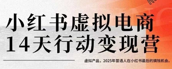 小红书虚拟电商14天变现训练营，虚拟产品，2025年普通人在小红书最后的搞钱机会-财富区