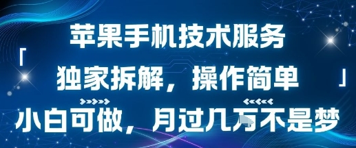 苹果手机技术服务,独家拆解,操作简单,小白可做,月过1W不是梦-财富区