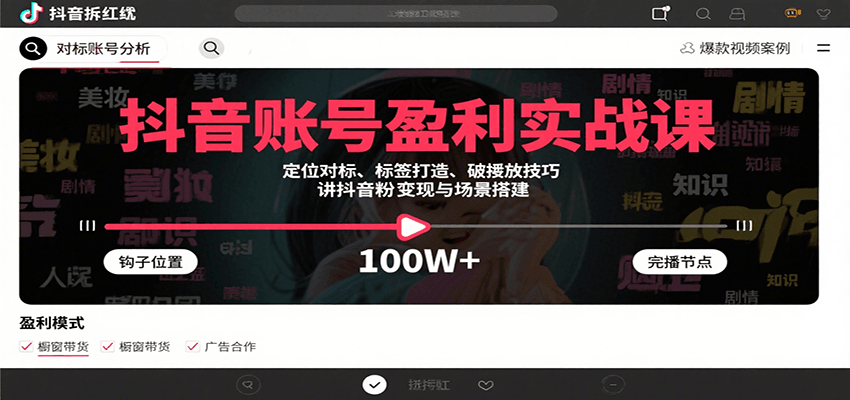 抖音账号盈利实战课，定位对标、标签打造、破播放技巧，讲涨粉变现与场景搭建-财富区