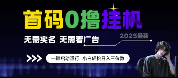 首码0撸挂G项目，无需实名无需看广告 一键启动运行，小白轻松日入三位数-财富区