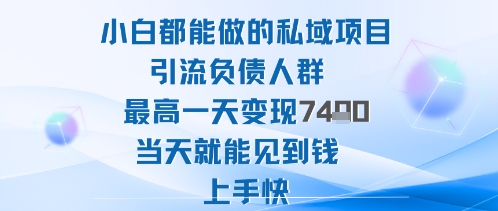 2025年小白都能做的私域项目引流负债人群最高一天变现1k+高变现难度低当天就能见到钱上手快-财富区