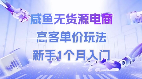 咸鱼无货源电商，高客单价玩法，新手1个月入门-财富区
