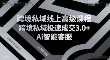 跨境私域线上高级课程，跨境私域极速成交3.0+Ai智能客服-财富区