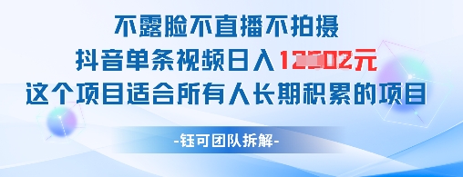 不露脸不直播不拍摄抖音单条视频日入1k+这个项目适合所有人长期积累的项目-财富区