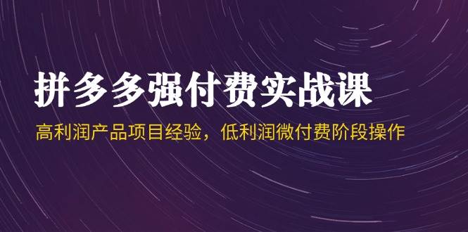 拼多多强付费实战课-44期，高利润产品项目经验，低利润微付费阶段操作-财富区