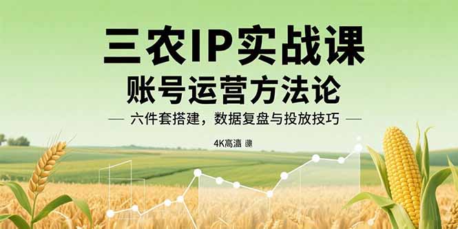 三农IP实战课：账号运营方法论，六件套搭建，数据复盘与投放技巧-财富区