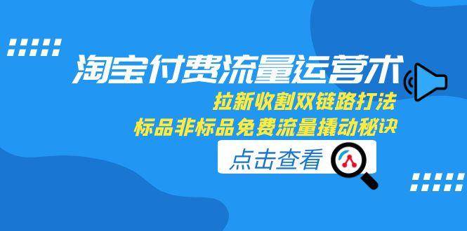 淘宝付费流量运营术，拉新收割双链路打法，标品非标品免费流量撬动秘诀-财富区