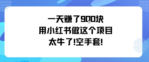 一天挣了9张用小红书做这个项目太牛了,空手套-财富区