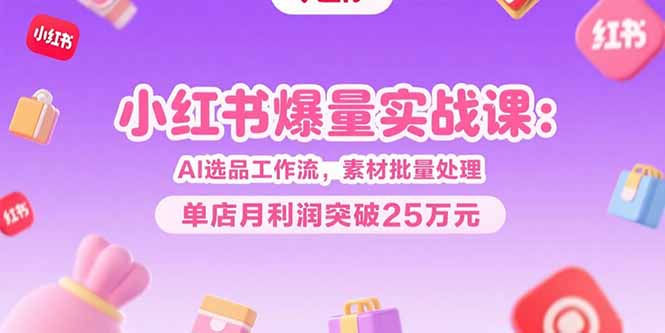 小红书爆量实战课：AI选品工作流，素材批量处理，单店月利润突破25万元-财富区