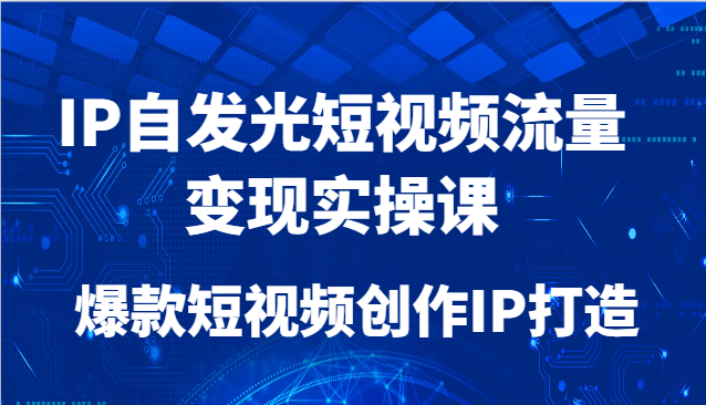 IP自发光短视频流量变现实操课，爆款短视频创作IP打造-财富区