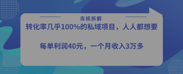 转化率最高的私域项目，每单利润40-50米，月入过1w-财富区