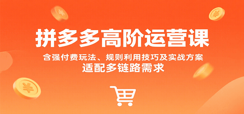 拼多多高阶运营课，含强付费玩法、规则利用技巧及实战方案，适配多链路需求-财富区