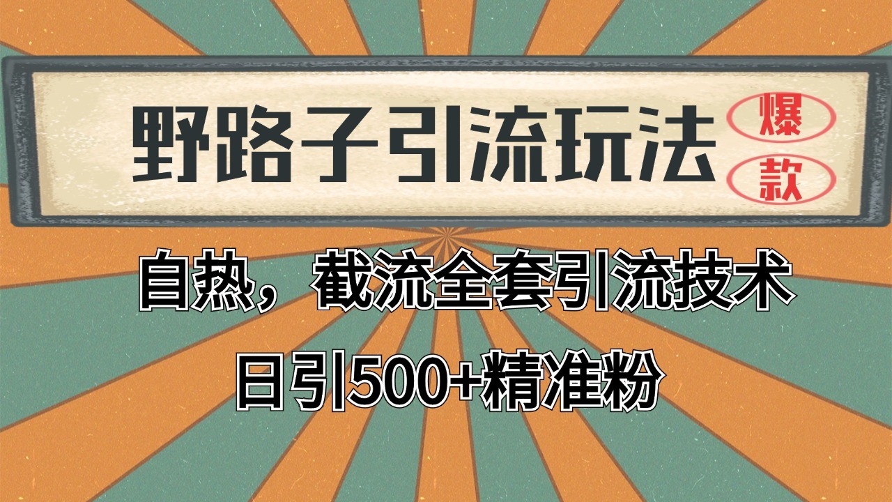 2024首发野路子引流玩法截流自热全平台打法，全自动引流【日引2000+精准客户】-财富区