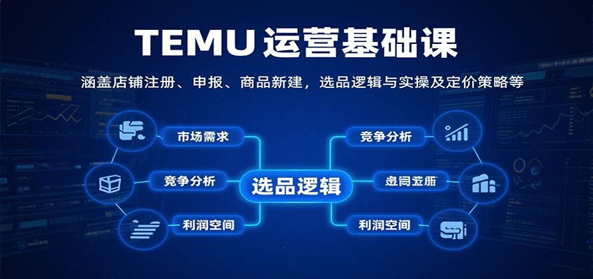 TEMU运营基础课：涵盖店铺注册、申报、商品新建，选品逻辑与实操及定价策略等-财富区