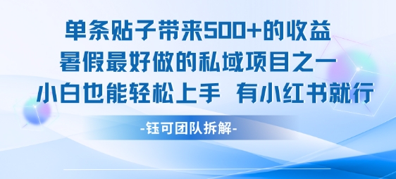 单条贴子带来5张的收益，暑假最好做的私域项目之一，小白也能轻松上手，有小红书就行-财富区