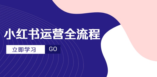 小红书运营全流程，爆款选题文案，视频制作技巧，进阶达人宝典-财富区