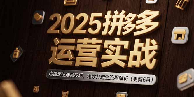 2025拼多多运营实战：店铺定位选品技巧，爆款打造全流程解析（更新6月）-财富区