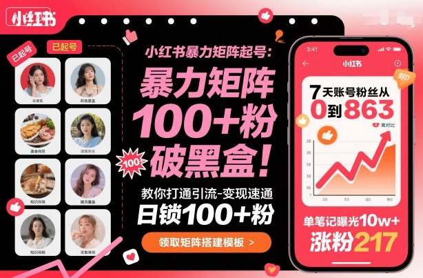 小红书暴力矩阵起号，教你打通引流-变现速通，日锁100+粉，破流量黑盒-财富区