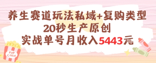 养生赛道玩法私域+复购类型，20秒生产原创实战单号月收入5k+-财富区