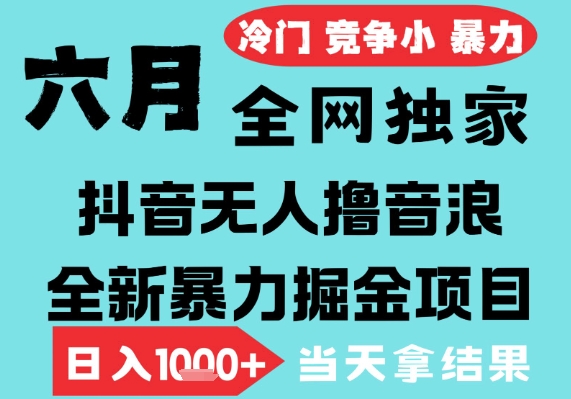 2025年6月高爆抖音无人直播最新撸音浪掘金项目，无脑日入1k+，低门槛小白可做，可矩阵放大-财富区