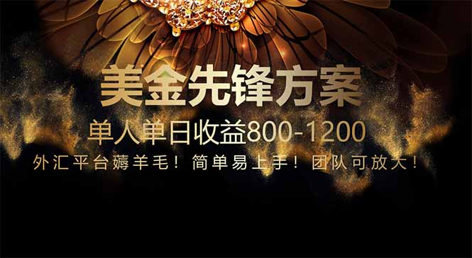 免费技术！小众赛道！一年布局抵三年努力，每日800+-财富区