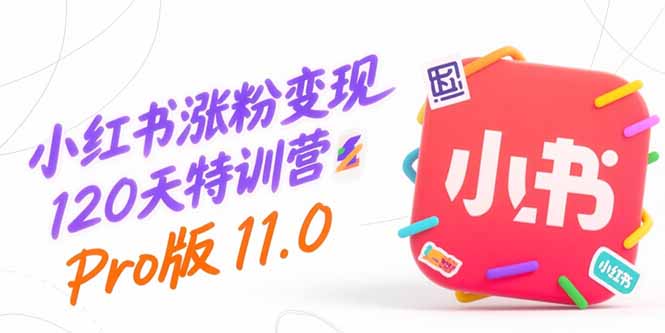 小红书涨粉变现120天特训营Pro版11.0：从0到1掌握平台运营,内容制作和变现-财富区