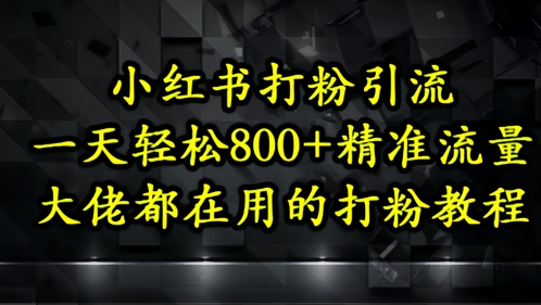小红书打粉引流，一天轻松500+精准流量，大佬都在用的打粉教程-财富区