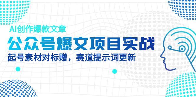 公众号爆文项目实战，AI创作爆款文章，起号素材对标赠（附赛道AI提示词）-财富区