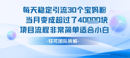 每天稳定引流30个人 当月变成超过了4个W项目流程非常简单适合小白-财富区