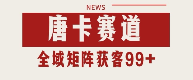 小红书某音唐卡赛道引流获客 自热矩阵日引200+-财富区
