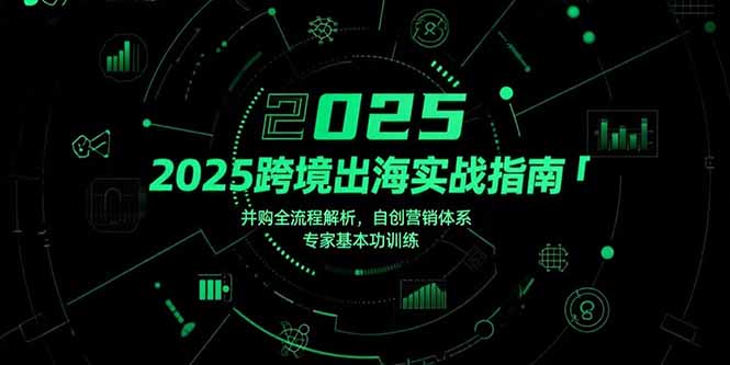 2025跨境出海实战指南，并购全流程解析，自创营销体系，专家基本功训练-财富区