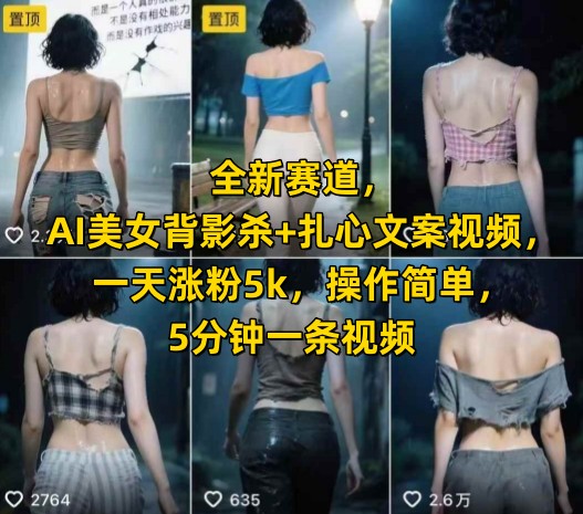 全新赛道，AI美女背影杀+扎心文案视频，一天涨粉5k，操作简单，5分钟一条视频-财富区