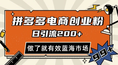 拼多多引流电商创业粉，日引200+，可矩阵放大，做了就有效-财富区