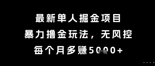 最新单人掘金项目，暴力撸金玩法，无风控，每个月多挣5k+-财富区