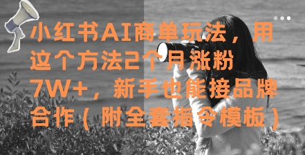 小红书AI商单玩法，用这个方法2个月涨粉7W+，新手也能接品牌合作(附全套指令模板)-财富区
