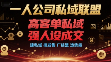 一人公司私域联盟，高客单私域，强人设成交，建私域 搞发售 广结盟 造势能-财富区