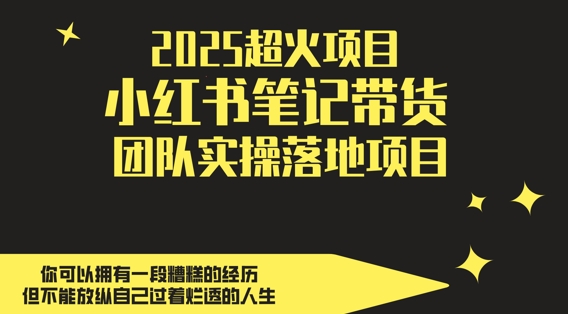 2025超火项目，副业最佳选择，小红书笔记带货团队实操落地项目，，轻松日入5张-财富区