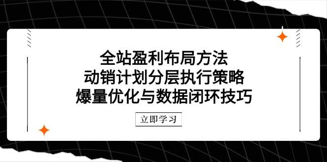 全站盈利布局方法：动销计划分层执行策略，爆量优化与数据闭环技巧-财富区