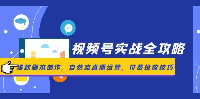 视频号实战全攻略，爆款脚本创作，自然流直播运营，付费投放技巧-财富区