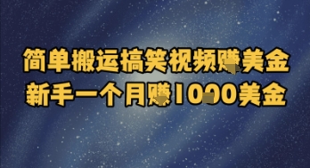 简单搬运搞笑视频挣美金，新手一个月入1k美金-财富区
