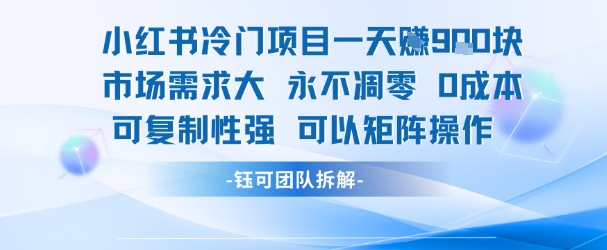 小红书冷门项目一天收益9张，市场需求大，0成本，可复制性强可以矩阵操作-财富区