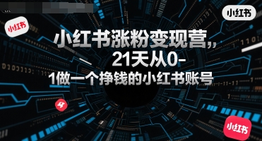 小红书涨粉变现营，21天从0-1做一个挣钱的小红书账号-财富区