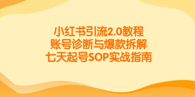 小红书引流2.0教程，账号诊断与爆款拆解，七天起号SOP实战指南-财富区
