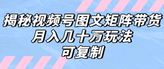 解密视频号图文矩阵带货，月入几个W的打法，可复制-财富区
