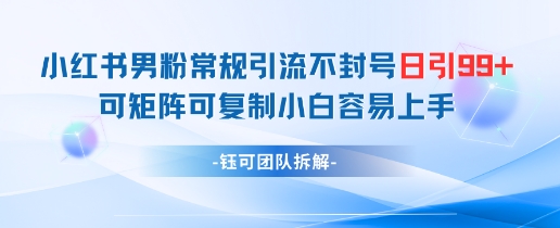 小红书男粉常规引流不封号日引99+变现简单 可矩阵可复制小白容易上手-财富区