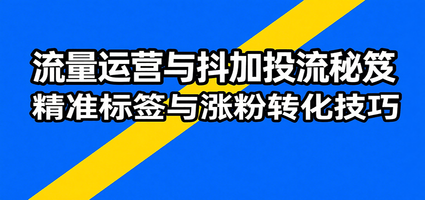 流量运营与抖加投流秘笈，含算法解析、爆款打造、精准标签与涨粉转化技巧-财富区