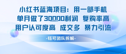 小红书蓝海项目，一部手机单月做了3W利润，小白也能月入过1W用户认可度高成交多-财富区